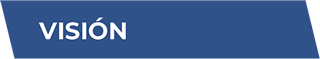 Visión